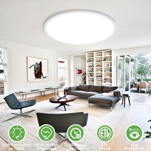 20 inch LED Flush Mount Ceiling Light