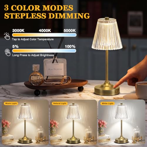 Bronze Cordless Rechargeable Table Lamp