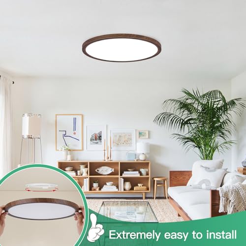 12 Inch LED Flush Mount Ceiling Light Fixture
