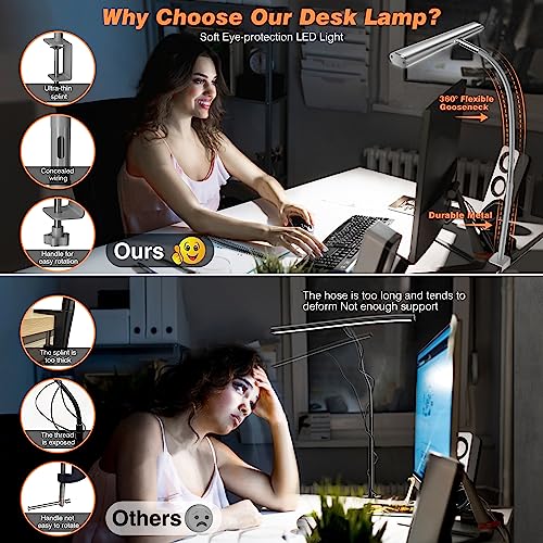 LED Desk Lamp with Clamp