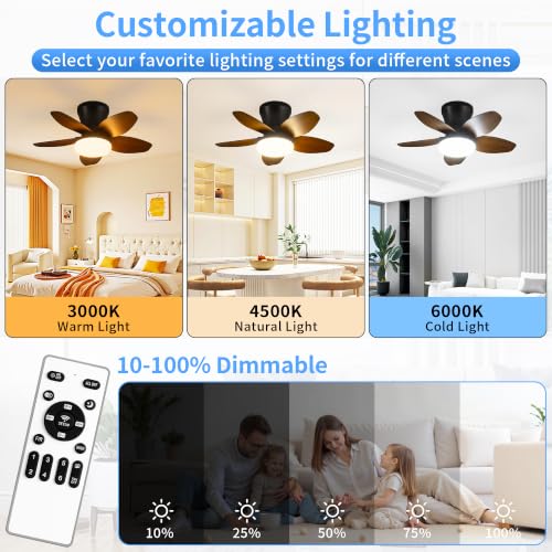 25" Small Ceiling Fans with Lights & Remote (Dark Brown)