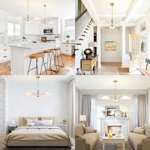Modern Glass Chandeliers
