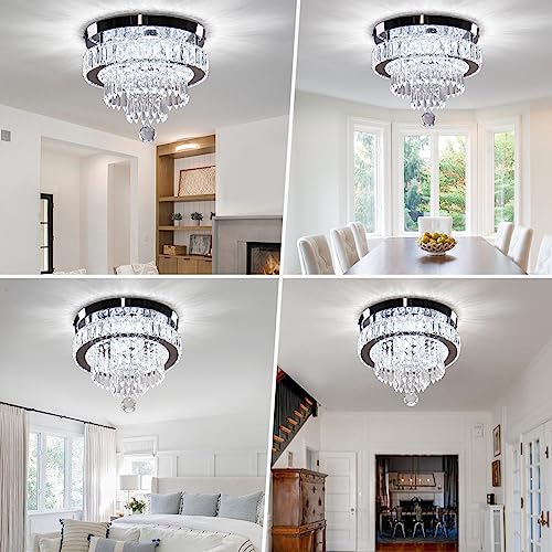 11.8" Crystal Ceiling Light