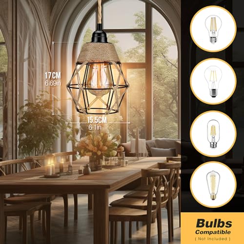 Plug in Pendant Light