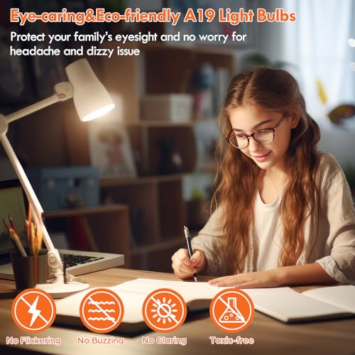12 Pack A19 LED Light Bulb (12 Count)