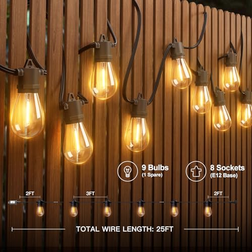 25FT LED Outdoor String Lights (25 Foot)