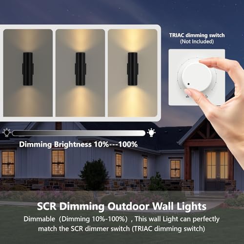 Dimmable Wall Lights Outdoor 2 Packs (2 Count)