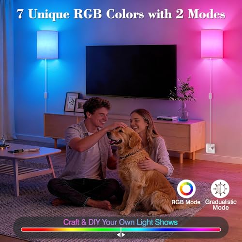 Plug in Wall Sconces Set of Two (2 Count)