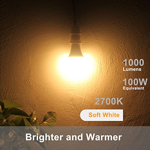 Dusk to Dawn Light Bulbs (4 Count)