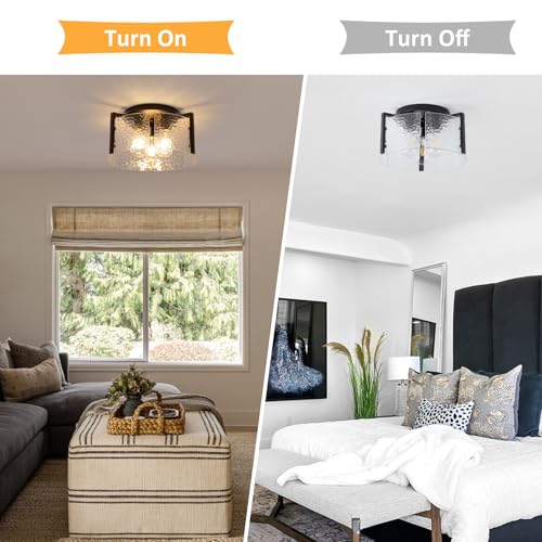 Black Flush Mount Ceiling Light Fixture