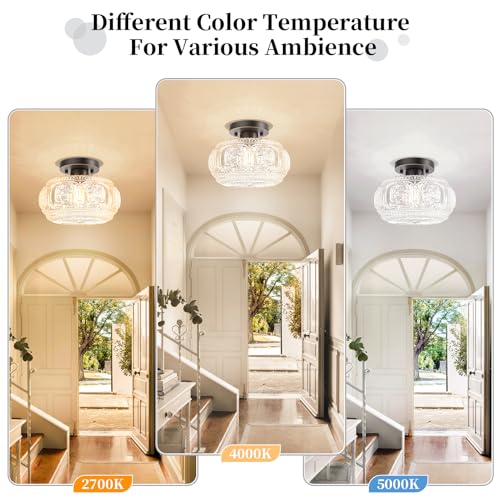 Glass Semi Flush Mount Ceiling Light Fixture