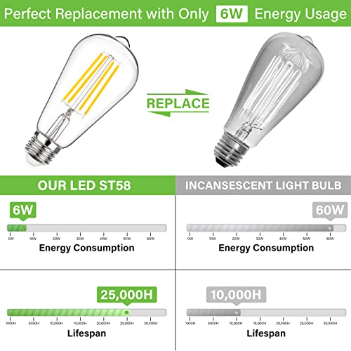 Vintage LED Edison Bulbs 60 Watt Equivalent (12 Count)