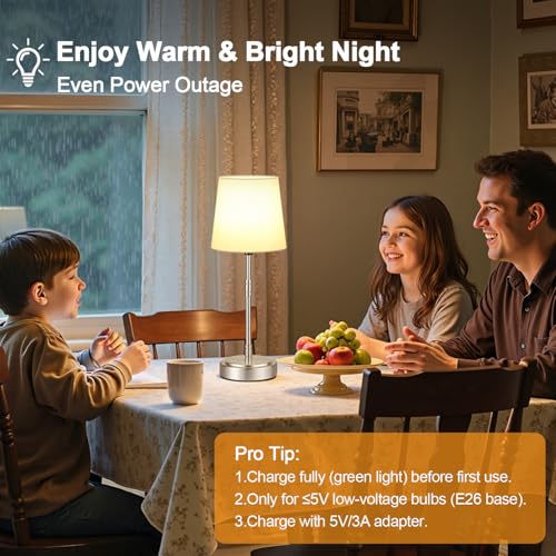 Cordless Table Lamps Set of 2 (2 Count)