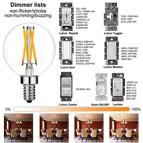 G16.5 E12 Bulb (6 Count)