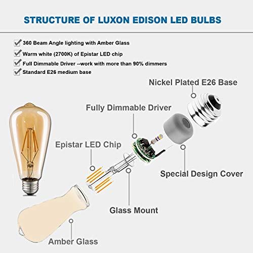 LED Edison Bulbs (4 Count)