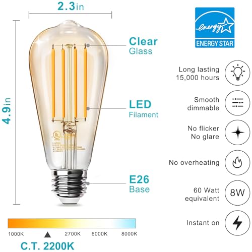 LED Edison Light Bulbs