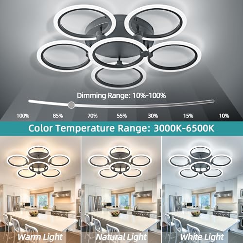LED Ceiling Light