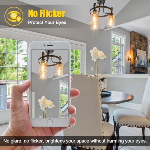 Dimmable Vintage LED Edison Bulbs (6 Count)