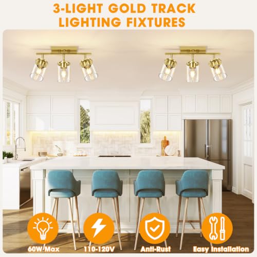 3 Lights Semi Flush Mount Ceiling Light