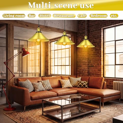 12 Pcs Industrial Pendant Light (12 Count)