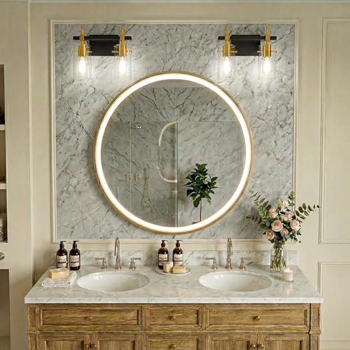 Vintage Vanity Light Fixtures Wall Light for Bathroom Over Mirror Light with Glass Shade Light Fixtures