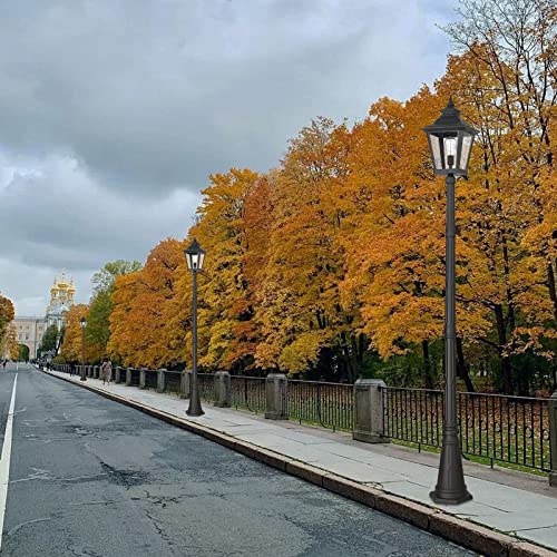 Outdoor Lamp Post Light