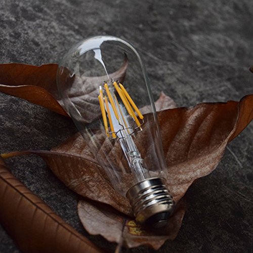 LED Edison Bulb 4W