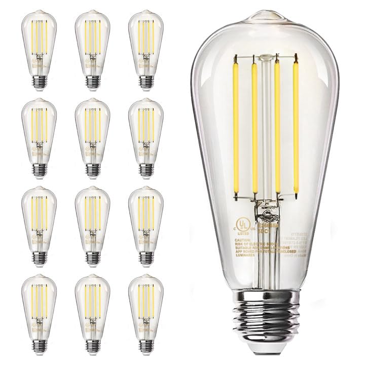 12 Pack Edison LED Light Bulbs (12 Count)