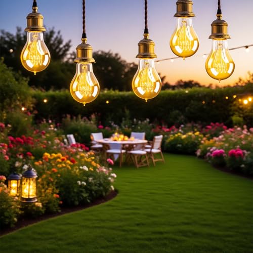 Edison Light Bulbs 60W (6 Count)