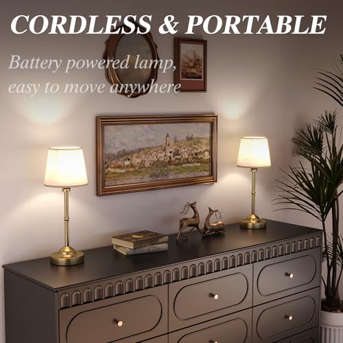 2 Pack Cordless Table Lamps