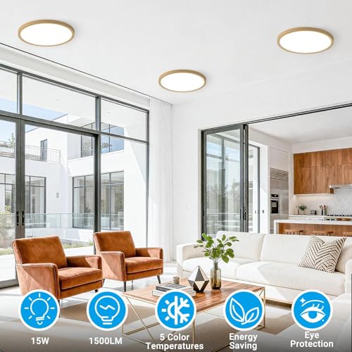LED Flush Mount Ceiling Light
