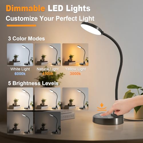 15W LED Desk Lamp with USB Charging Ports