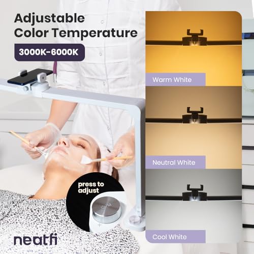 LED Nail Tech Desk Lamp