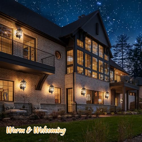 16’’ Large Outdoor Wall Light Fixtures (2 Count)