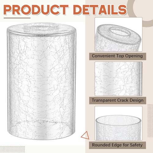 6 Pcs Clear Crackle Glass Lamp Shade 1 (6 Count)
