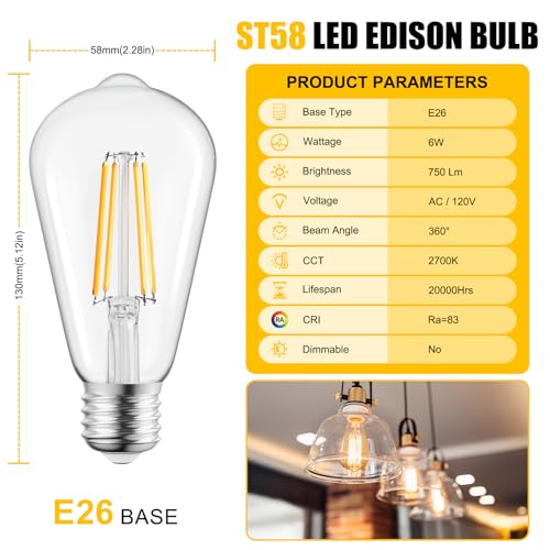 12Pack Edison Light Bulbs (12 Count)