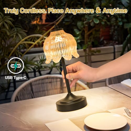 Cordless Table Lamp