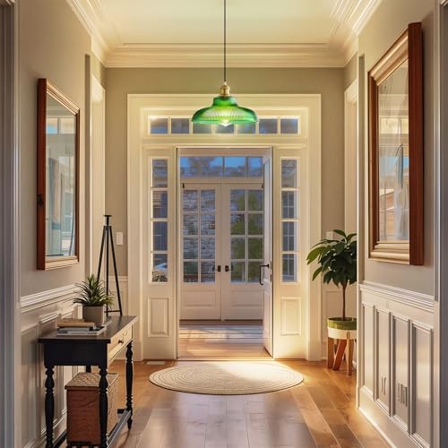 Plug in Pendant Light