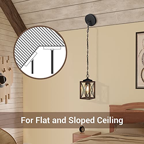 Farmhouse Pendant Light Wood Grain 63 Inch Adjustable Chain