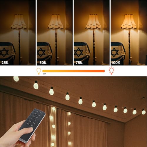 Outdoor Dimmer for String Lights