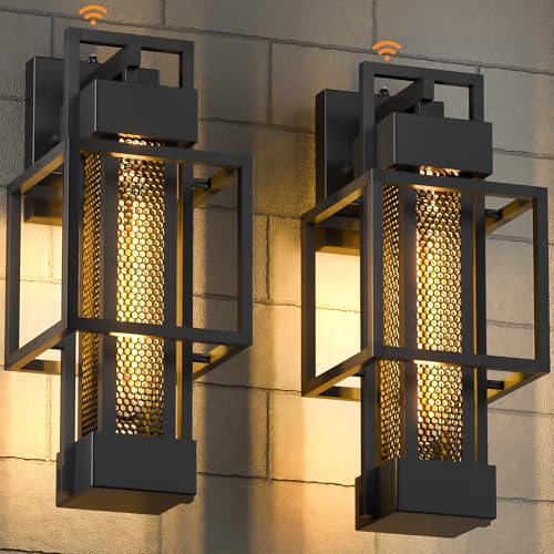 2 Pack Dusk to Dawn Outdoor Exterior Lighting Fixtures Wall Mount (2 Count)