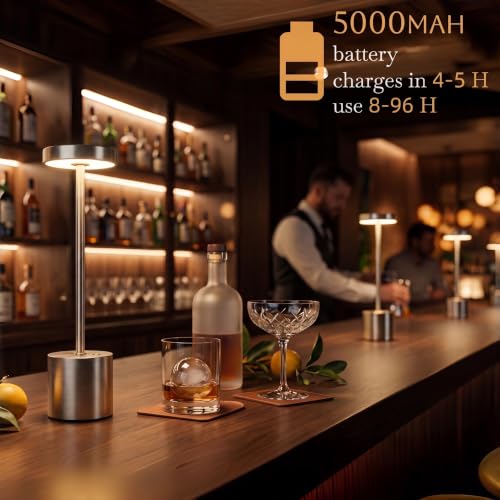 Silver Cordless Table Lamp 2Pack Rechargeable Portable Table Light