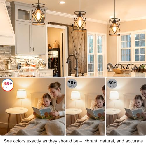 6 Pack Vintage LED Edison Bulbs (6 Count)