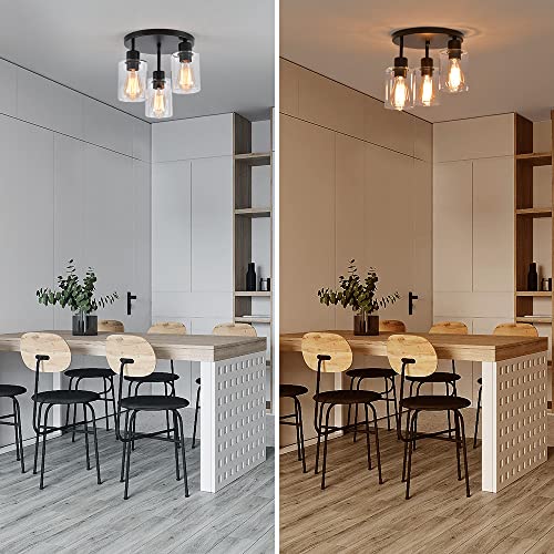 3 Light Industrial Farmhouse Black Matte Light Fixtures Ceiling Mount (3 Count)