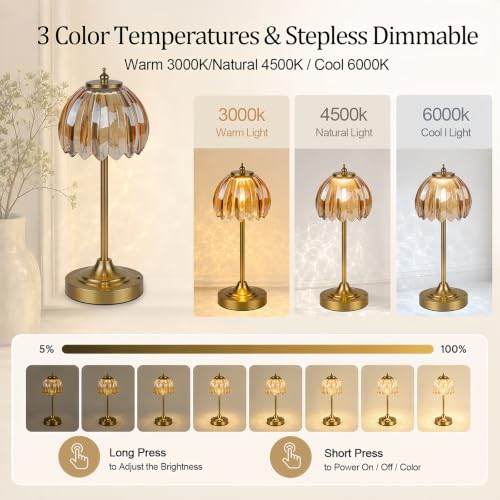 Rechargeable Cordless Table Lamp