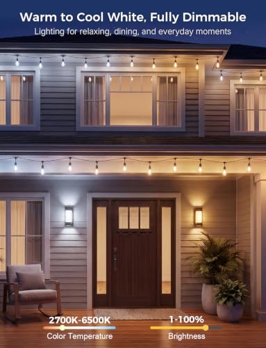 Smart Outdoor String Lights 123FT (123FT)