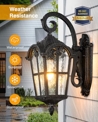 Black 2 Pack Outdoor Porch Lights (2 Count)