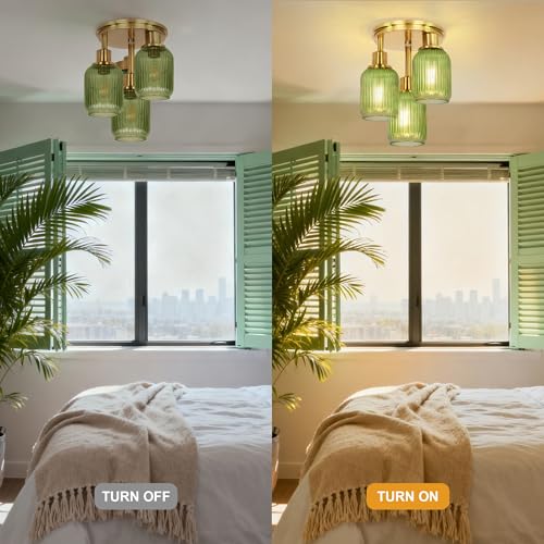 Semi Flush Mount Ceiling Light
