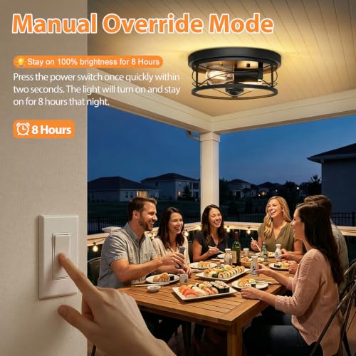 Dusk to Dawn Flush Mount Ceiling Light Fixtures