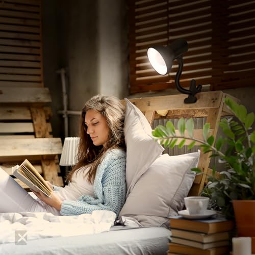 LED Clip on Desk Lamp with 360° Flexible Gooseneck (2 Count)
